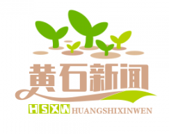 黄石下陆区扶贫协作单位成功引进亿元投资项目，助力脱贫攻坚战
